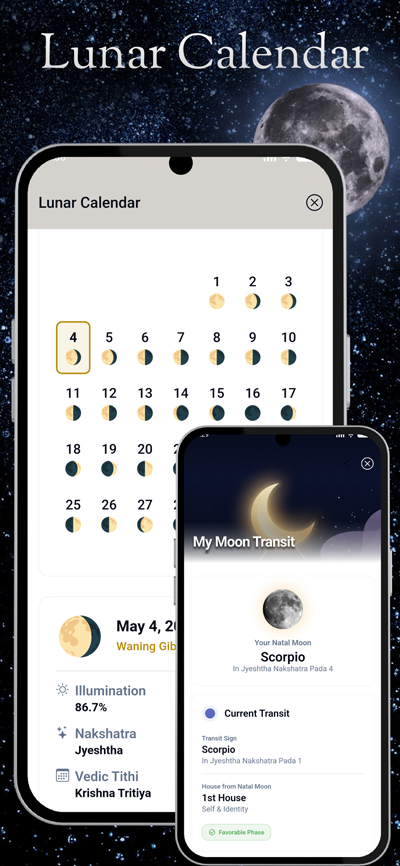 Vyom: 最佳吠陀占星应用 App Screenshot 10